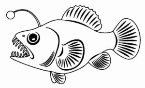 Desenho de Peixes Desenho Colorir Imprimir 073
