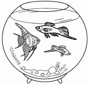 Desenho de Peixes Desenho Colorir Imprimir 086