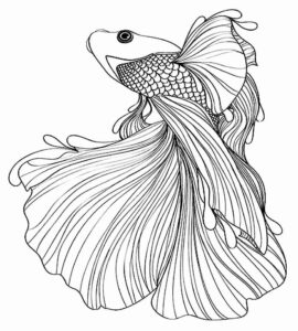 Desenho de Peixes Desenho Colorir Imprimir 091