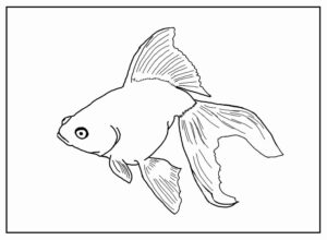 Desenho de Peixes Desenho Colorir Imprimir 093