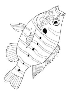Desenho de Peixes Desenho Colorir Imprimir 100