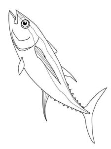 Desenho de Peixes Desenho Colorir Imprimir 101