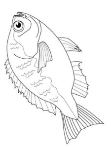 Desenho de Peixes Desenho Colorir Imprimir 103