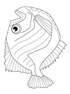 Desenho de Peixes Desenho Colorir Imprimir 104