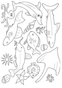 Desenho de Peixes Desenho Colorir Imprimir 106