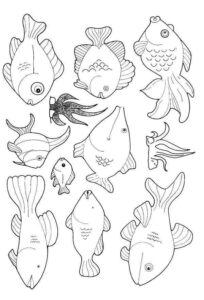 Desenho de Peixes Desenho Colorir Imprimir 107