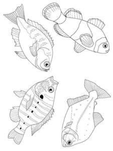 Desenho de Peixes Desenho Colorir Imprimir 111