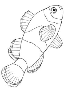 Desenho de Peixes Desenho Colorir Imprimir 115