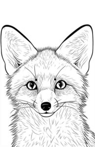 Desenho de Raposa Desenho Colorir Imprimir 13
