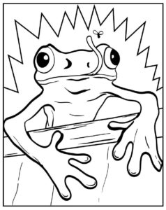 Desenho de Sapos Desenho Colorir Imprimir 02