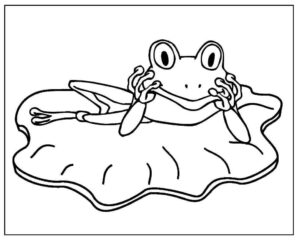 Desenho de Sapos Desenho Colorir Imprimir 04
