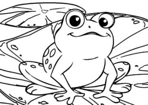 Desenho de Sapos Desenho Colorir Imprimir 11