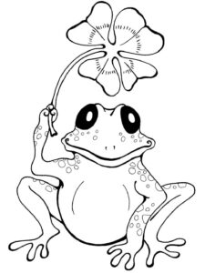 Desenho de Sapos Desenho Colorir Imprimir 16