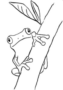Desenho de Sapos Desenho Colorir Imprimir 19