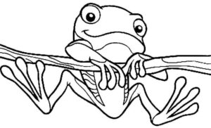 Desenho de Sapos Desenho Colorir Imprimir 20