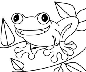 Desenho de Sapos Desenho Colorir Imprimir 27