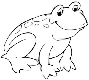 Desenho de Sapos Desenho Colorir Imprimir 28