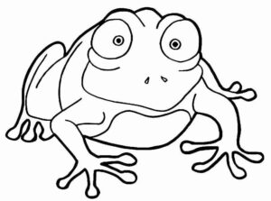 Desenho de Sapos Desenho Colorir Imprimir 36