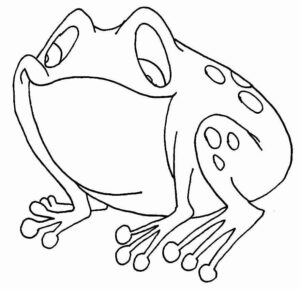 Desenho de Sapos Desenho Colorir Imprimir 38