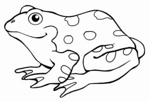 Desenho de Sapos Desenho Colorir Imprimir 47