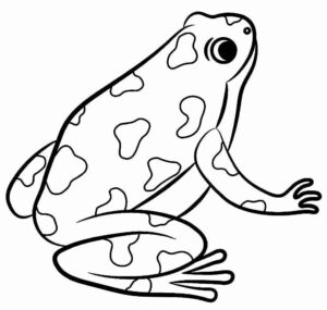 Desenho de Sapos Desenho Colorir Imprimir 48