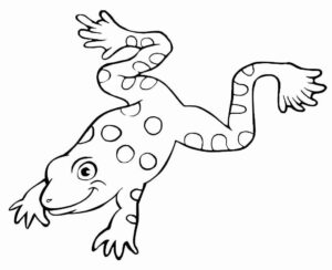 Desenho de Sapos Desenho Colorir Imprimir 58