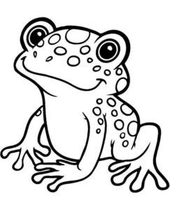 Desenho de Sapos Desenho Colorir Imprimir 70