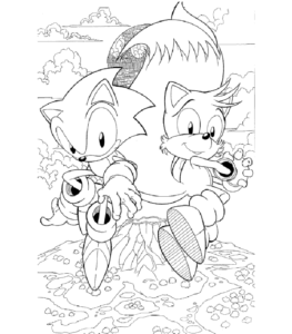 Desenho de Sonic Desenho Colorir Imprimir 19