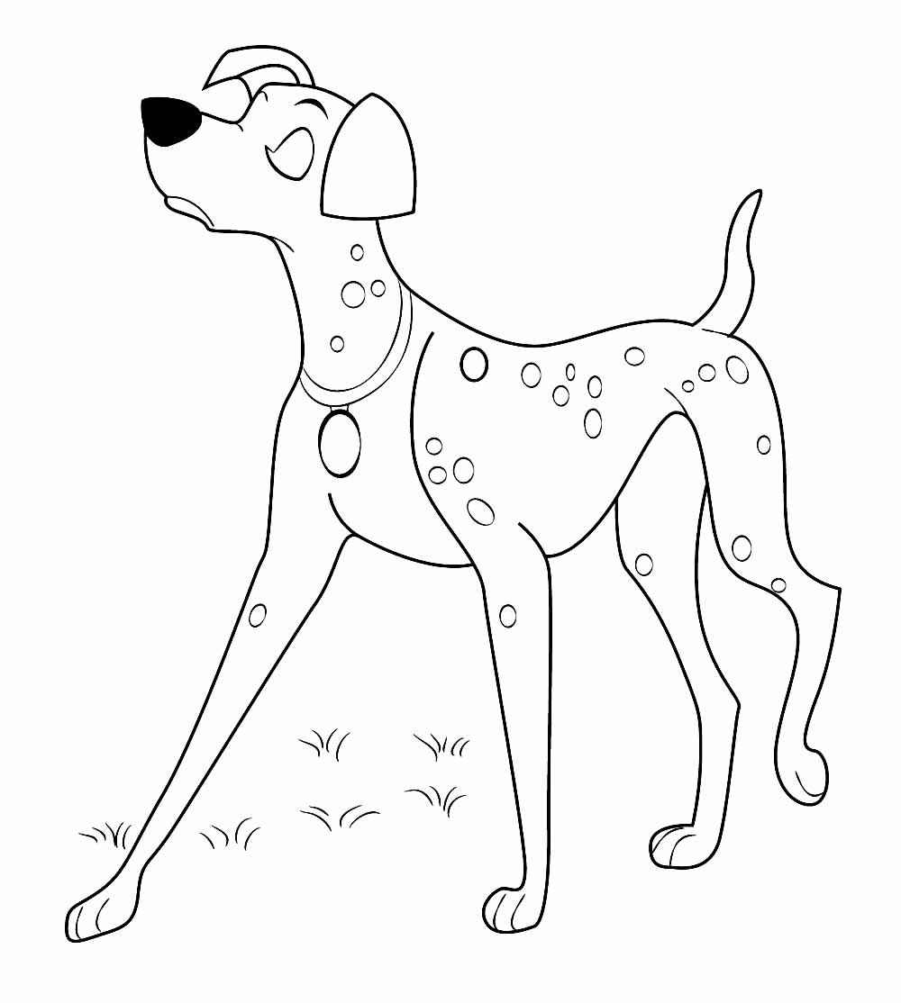 Desenho de 101 Dalmatas Desenho Colorir Imprimir 28