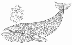 Desenho de Baleias Desenho Colorir Imprimir 37