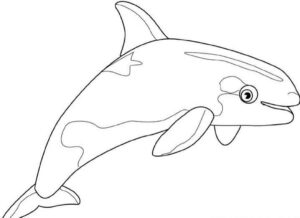 Desenho de Baleias Desenho Colorir Imprimir 41