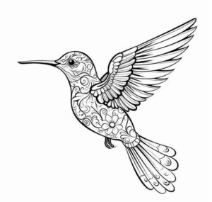 Desenho de Beija Flor Desenho Colorir Imprimir 02