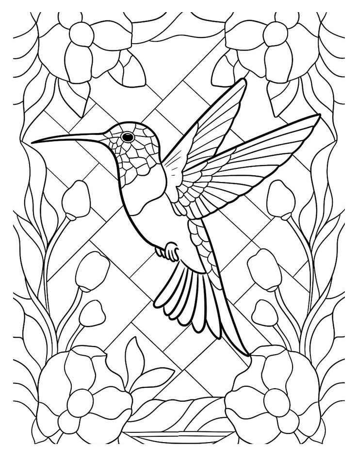 Desenho de Beija Flor Desenho Colorir Imprimir 03