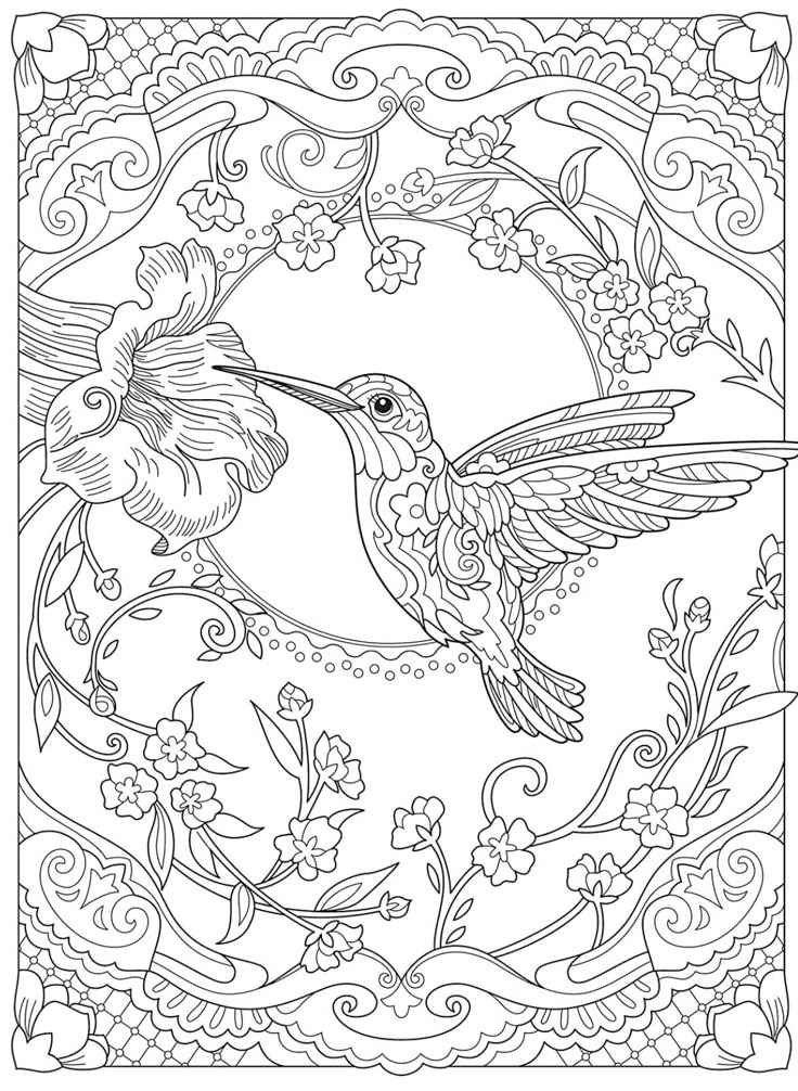 Desenho de Beija Flor Desenho Colorir Imprimir 04