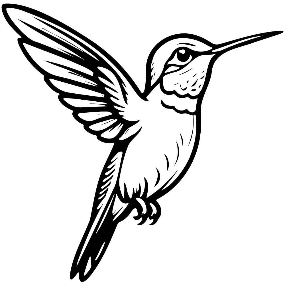 Desenho de Beija Flor Desenho Colorir Imprimir 13