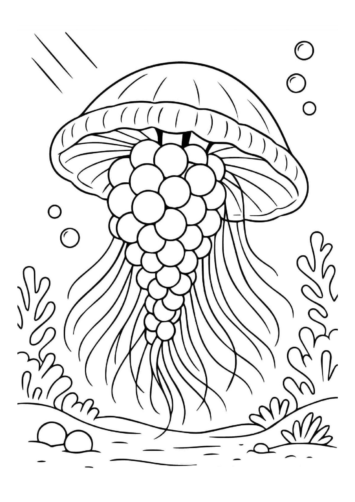 Desenho de Graipussi Medussi 1 Of 1
