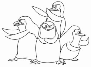 Desenho de Madagascar Desenho Colorir Imprimir 02