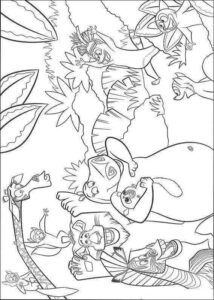 Desenho de Madagascar Desenho Colorir Imprimir 26