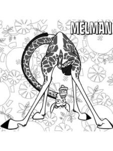 Desenho de Madagascar Desenho Colorir Imprimir 31