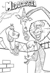 Desenho de Madagascar Desenho Colorir Imprimir 35