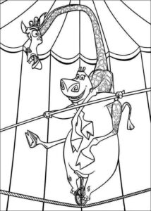 Desenho de Madagascar Desenho Colorir Imprimir 38
