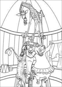 Desenho de Madagascar Desenho Colorir Imprimir 41