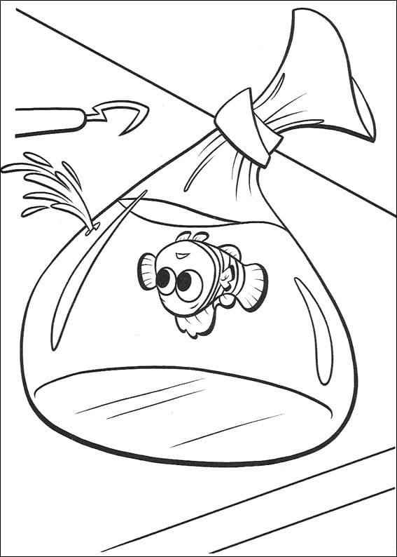 Desenho de Procurando Nemo Desenho Colorir Imprimir 03