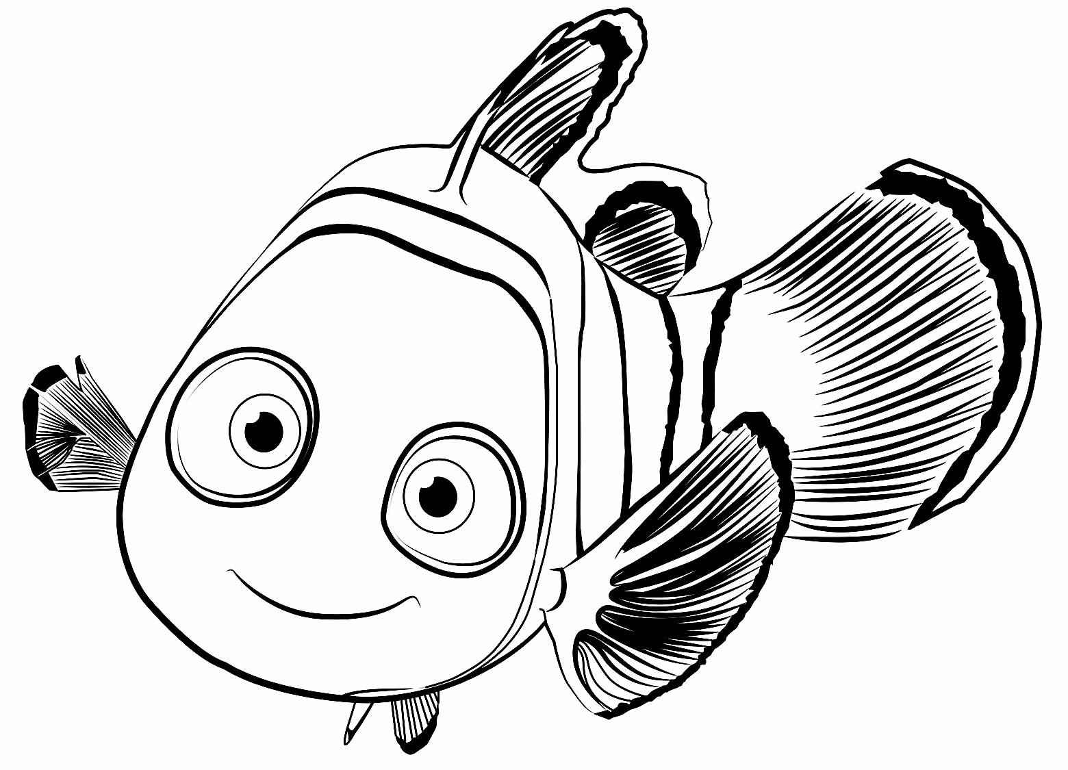 Desenho de Procurando Nemo Desenho Colorir Imprimir 04
