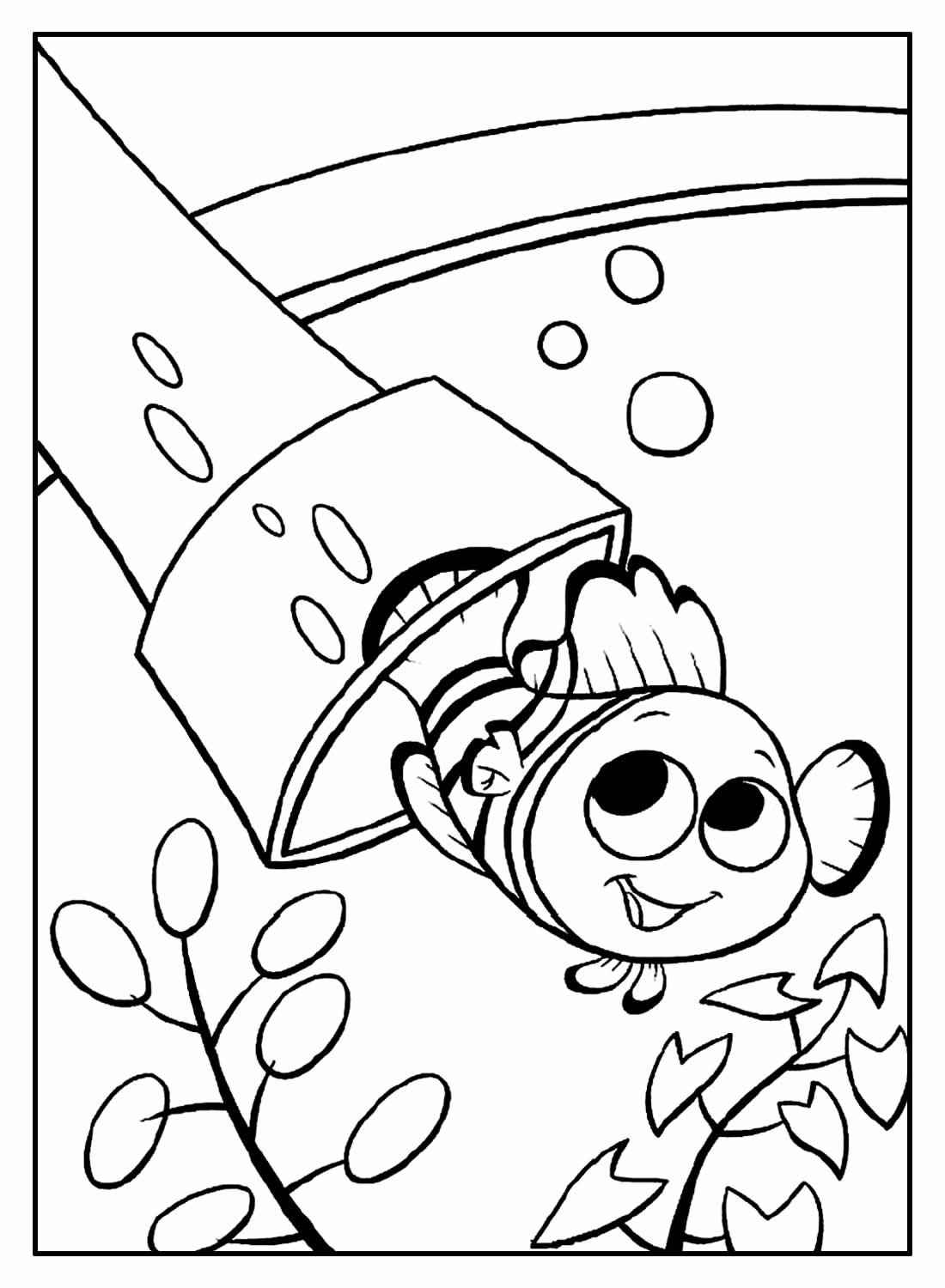 Desenho de Procurando Nemo Desenho Colorir Imprimir 15