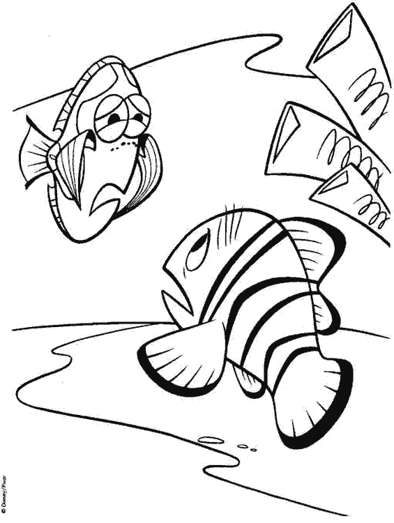 Desenho de Procurando Nemo Desenho Colorir Imprimir 19