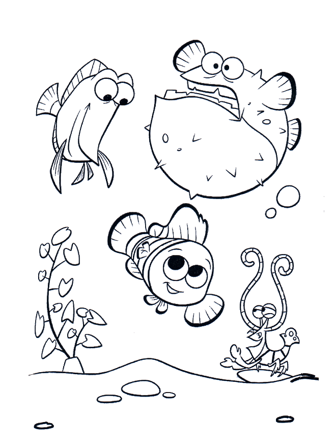 Desenho de Procurando Nemo Desenho Colorir Imprimir 20