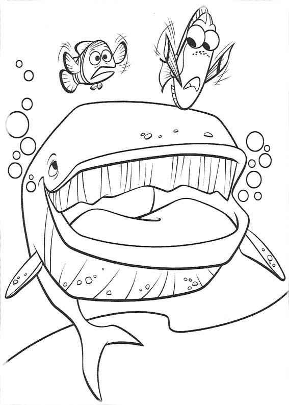 Desenho de Procurando Nemo Desenho Colorir Imprimir 27