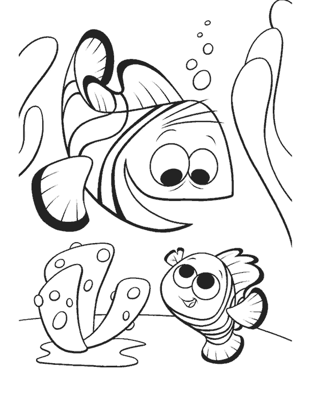 Desenho de Procurando Nemo Desenho Colorir Imprimir 29