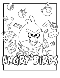Desenho de Angry Birds Desenho Colorir Imprimir 08